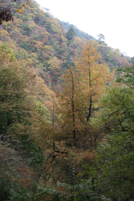 大山・三峰山