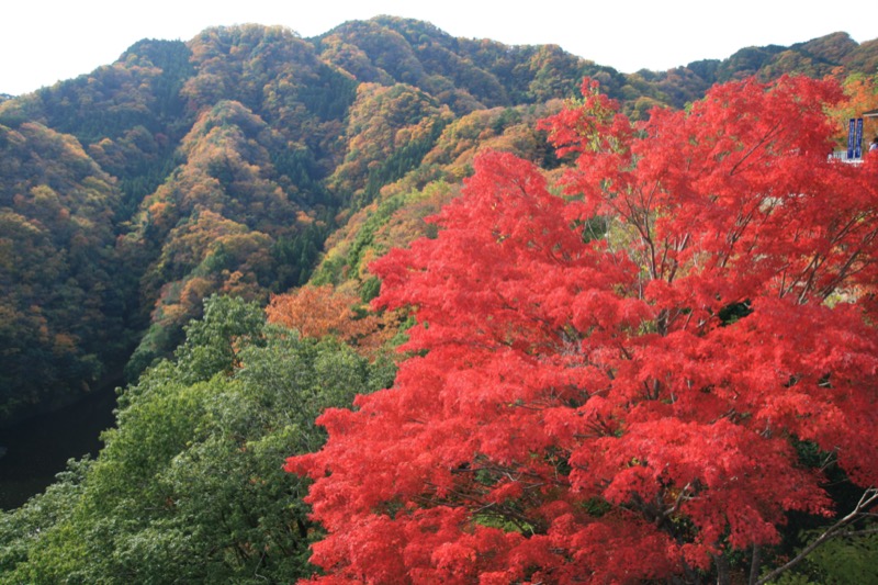 奥久慈・男体山