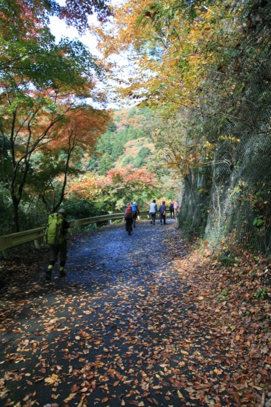 奥久慈・男体山