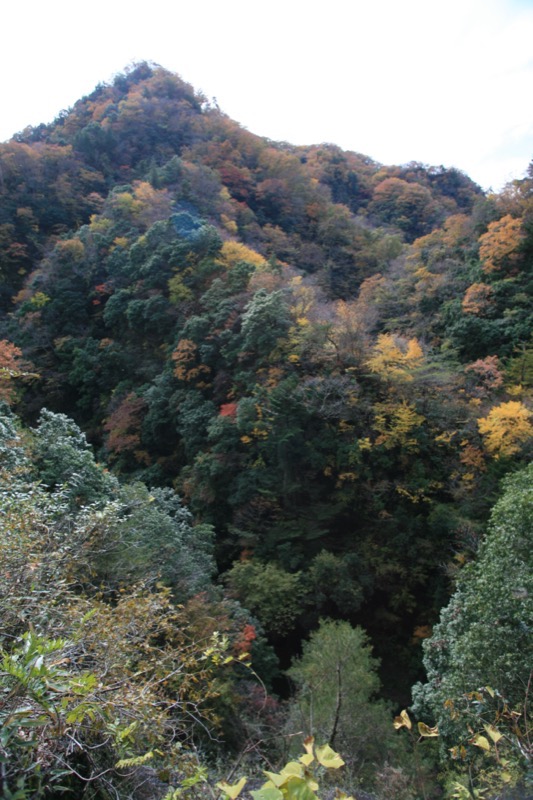 奥久慈・男体山