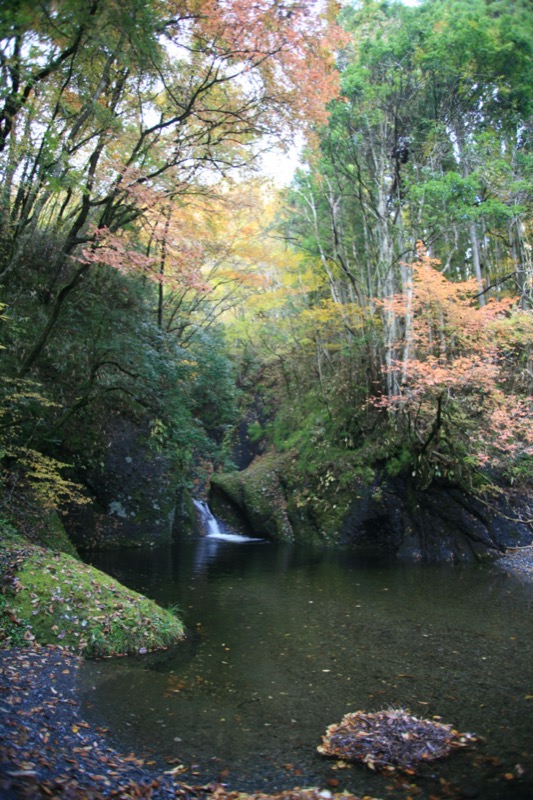 奥久慈・男体山