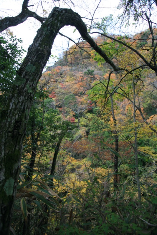 奥久慈・男体山