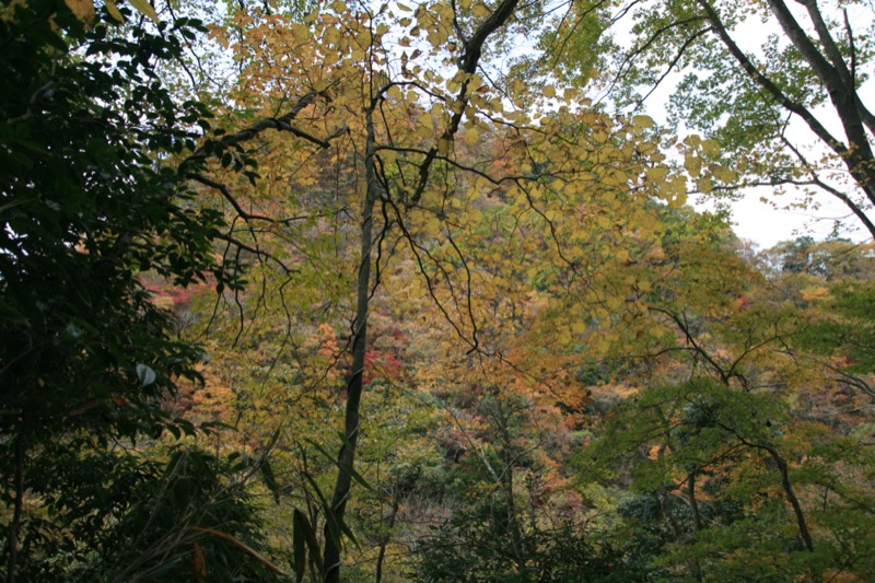 奥久慈・男体山