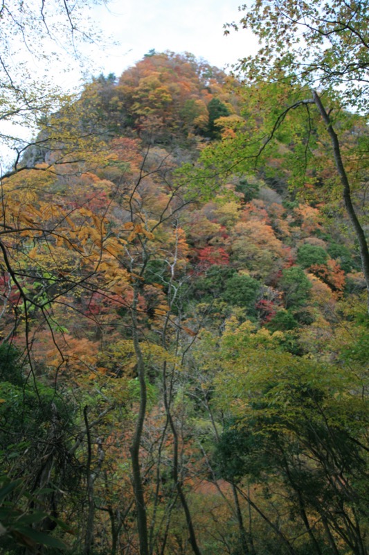 奥久慈・男体山