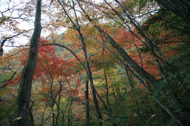 奥久慈・男体山