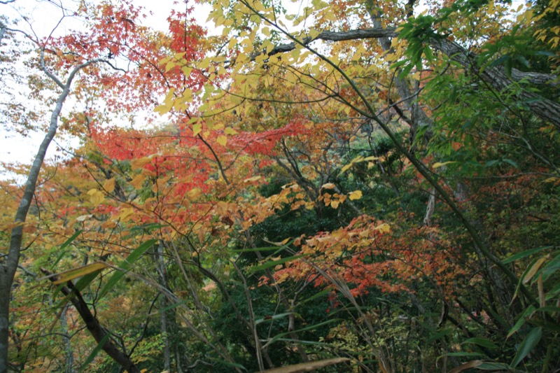 奥久慈・男体山