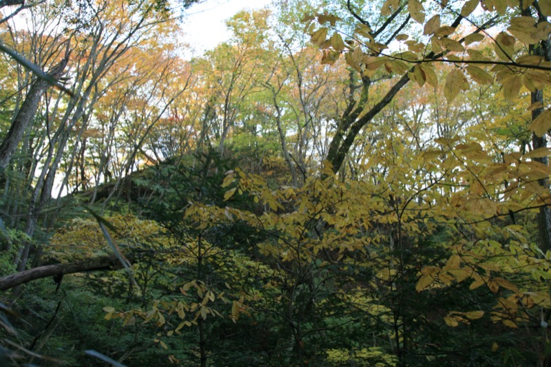 奥久慈・男体山