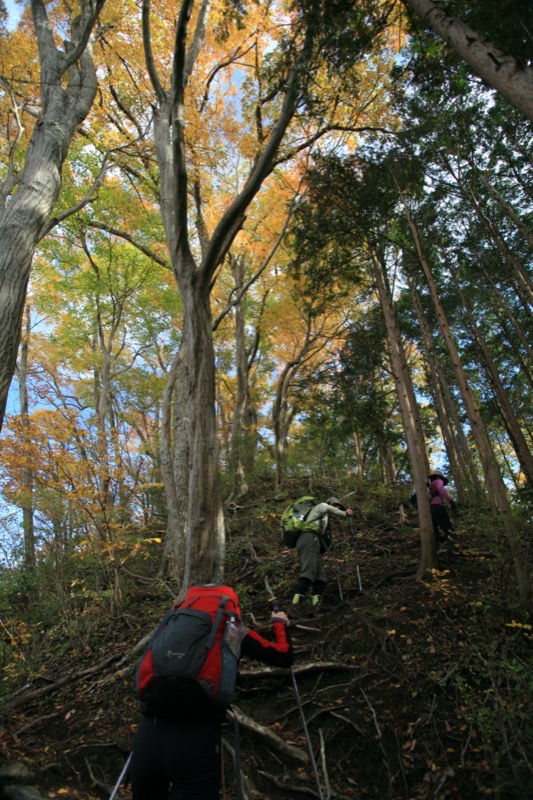 奥久慈・男体山