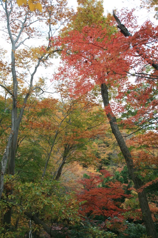 奥久慈・男体山