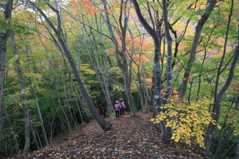 奥久慈・男体山