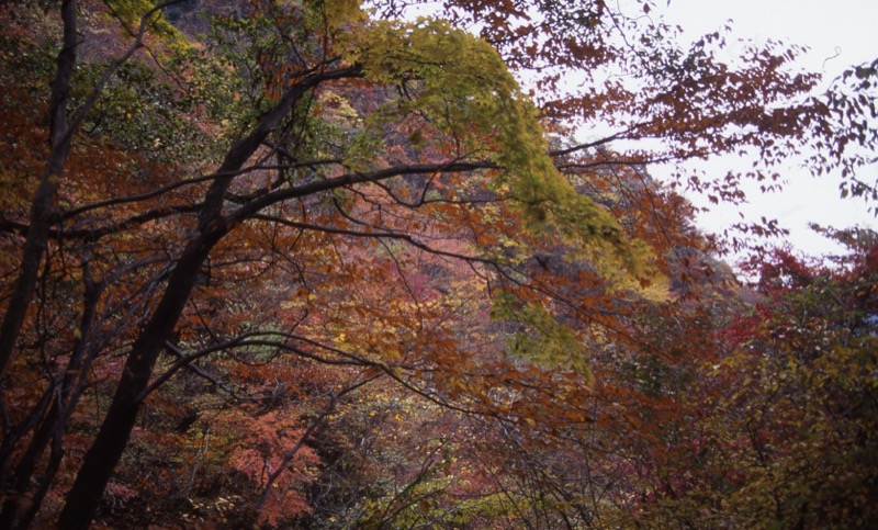 大山・三峰山