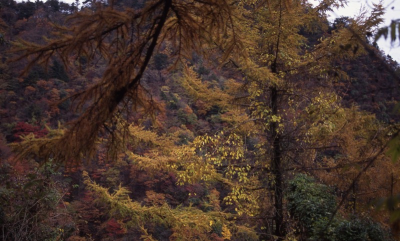 大山・三峰山