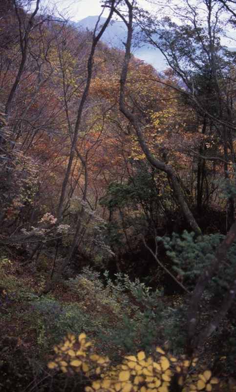 大山・三峰山