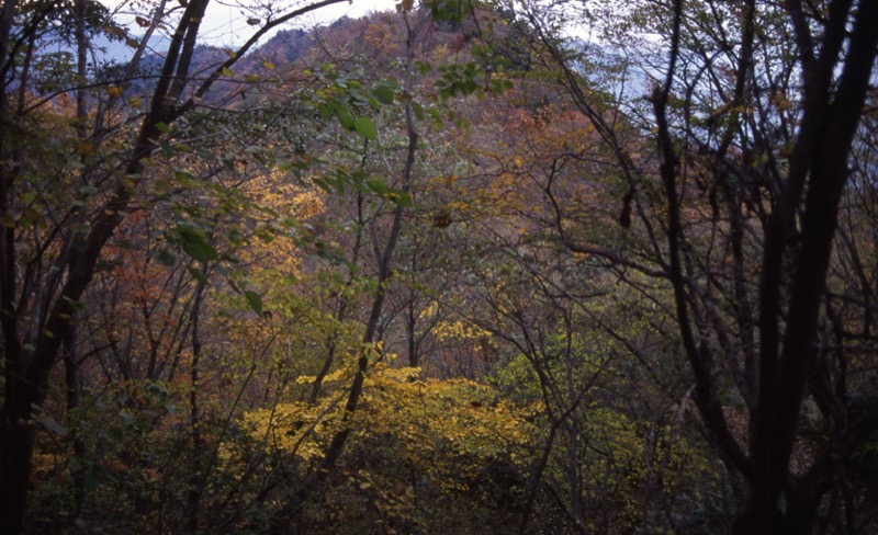 大山・三峰山