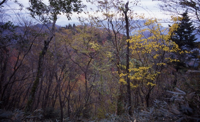 大山・三峰山