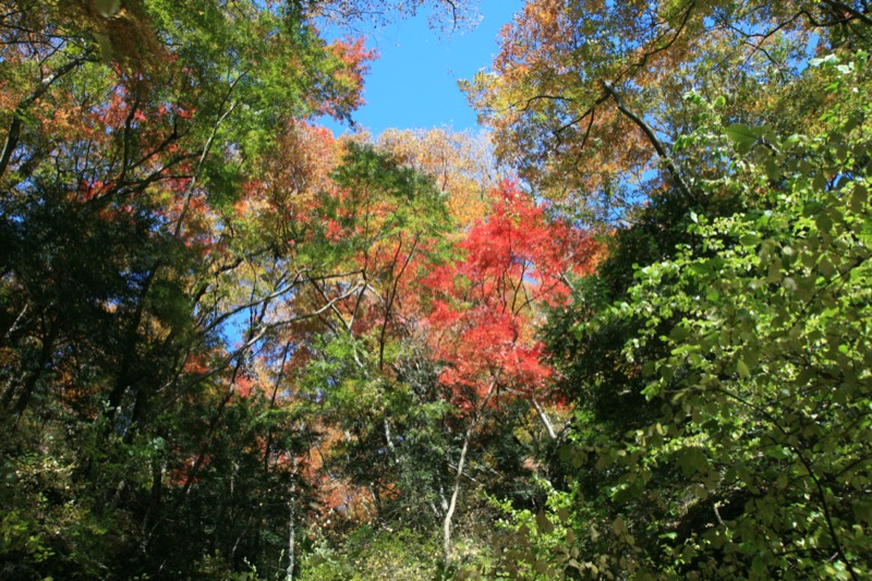 奥久慈・男体山