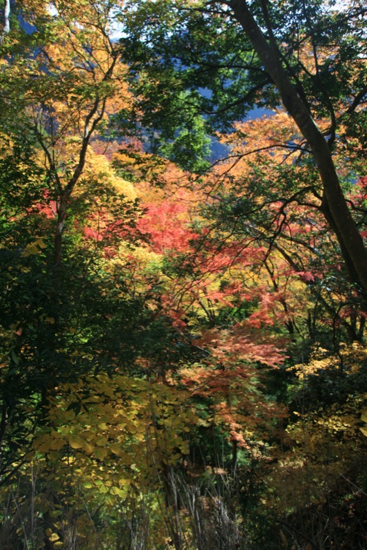 奥久慈・男体山