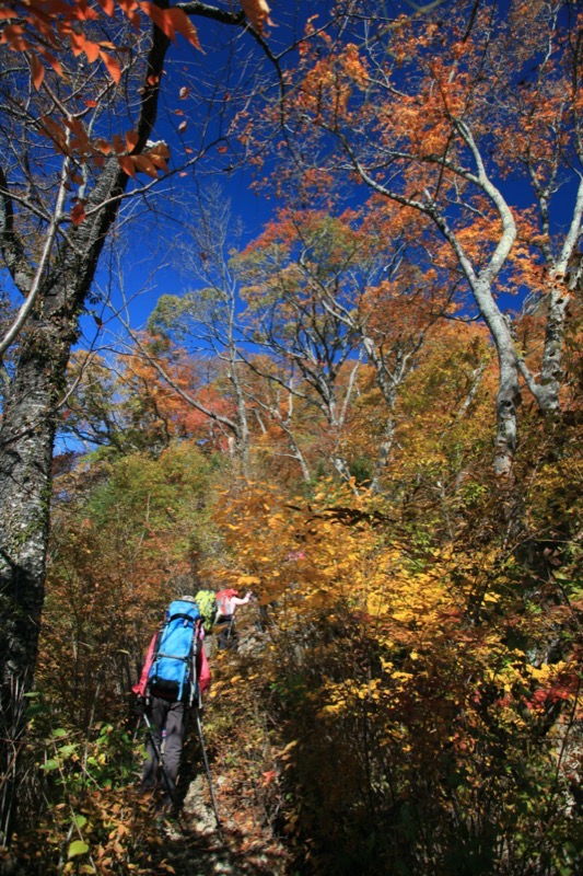 奥久慈・男体山