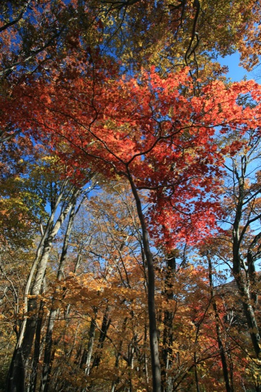 奥久慈・男体山