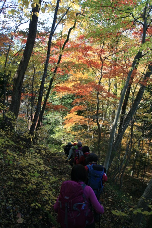 奥久慈・男体山