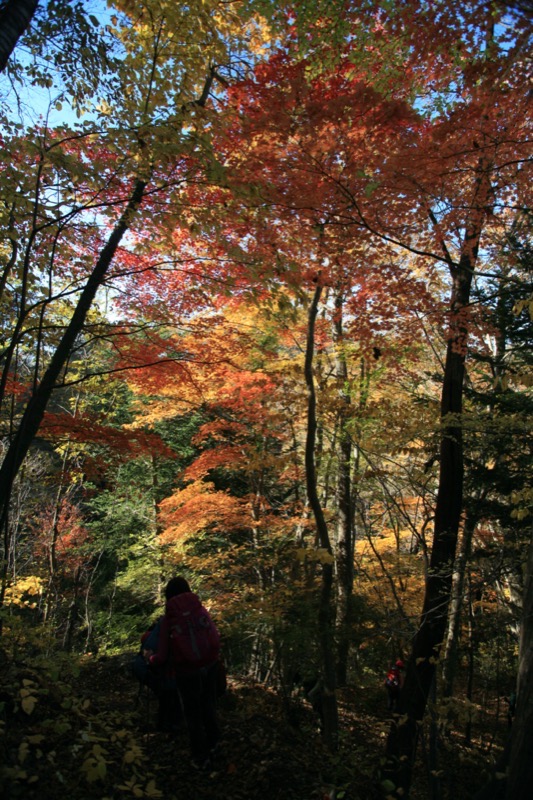 奥久慈・男体山