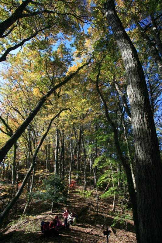 奥久慈・男体山