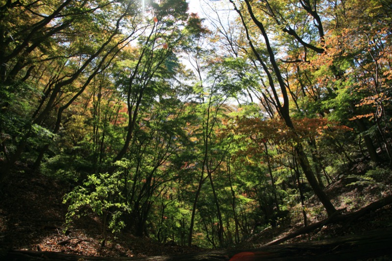 奥久慈・男体山