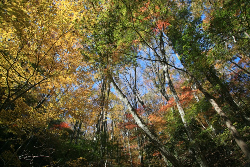 奥久慈・男体山