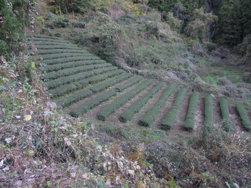 奥久慈・男体山