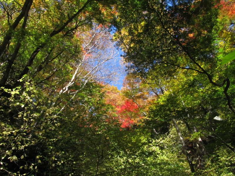 奥久慈・男体山