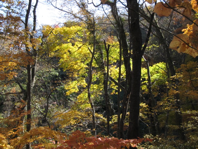 奥久慈・男体山