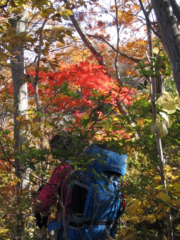 奥久慈・男体山