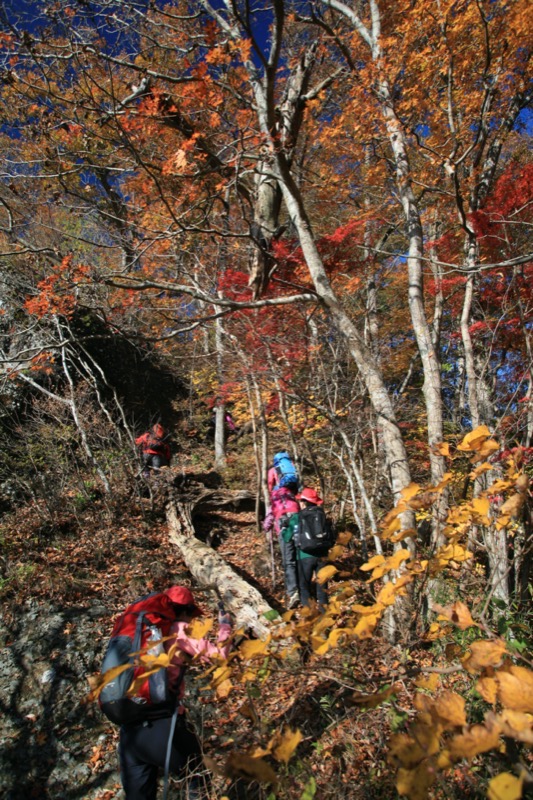 奥久慈・男体山