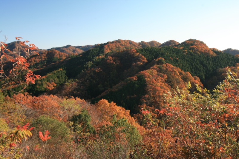 奥久慈・男体山