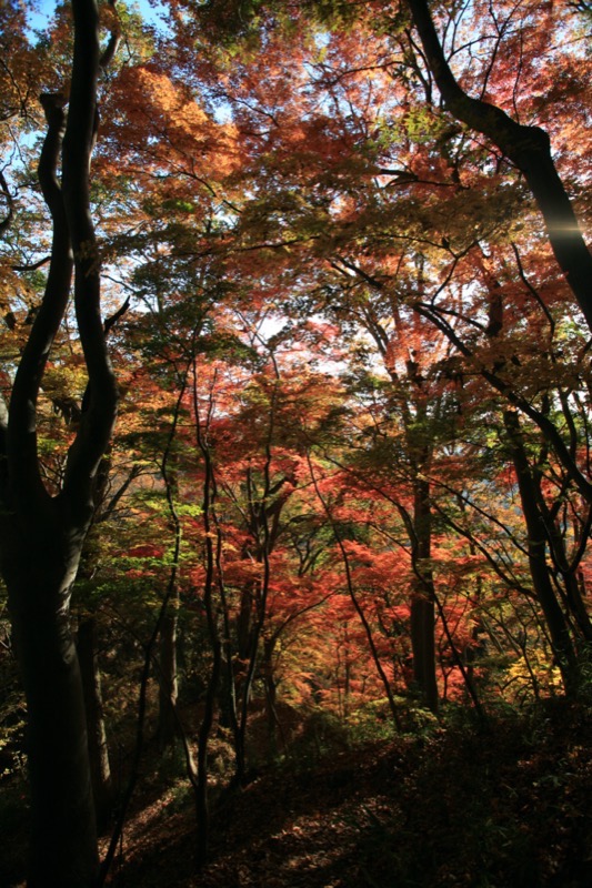 奥久慈・男体山