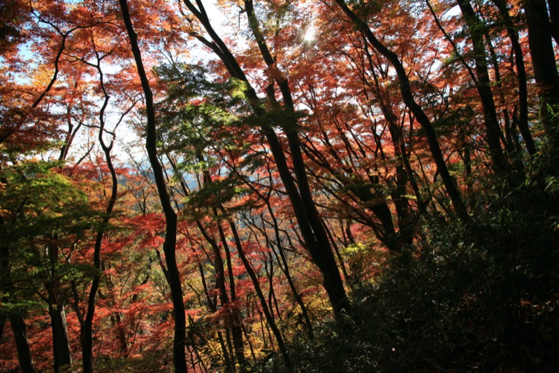 奥久慈・男体山