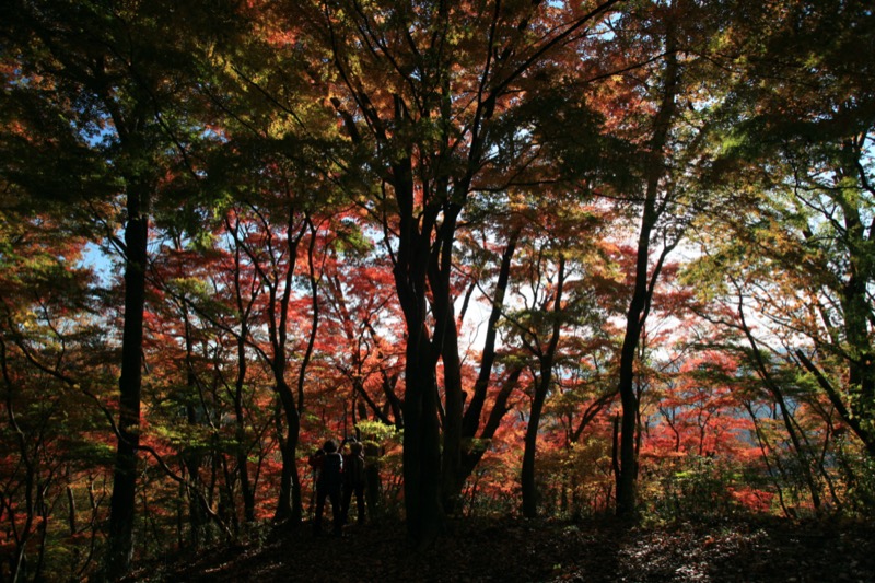 奥久慈・男体山