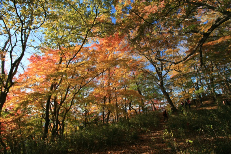 奥久慈・男体山