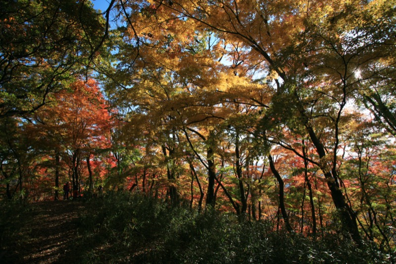 奥久慈・男体山