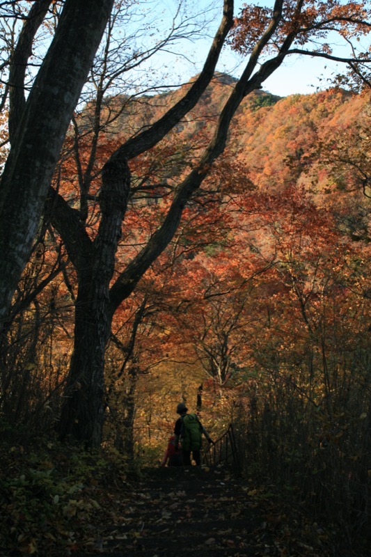 奥久慈・男体山