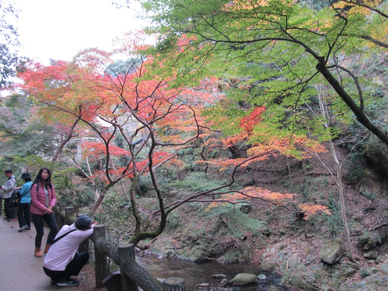 箕面&嵐山