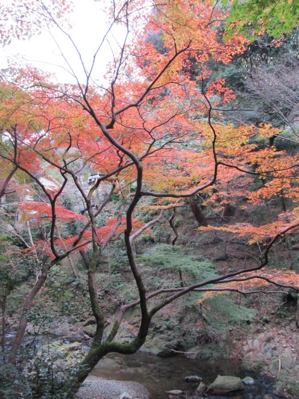 箕面&嵐山