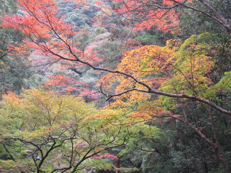 箕面&嵐山