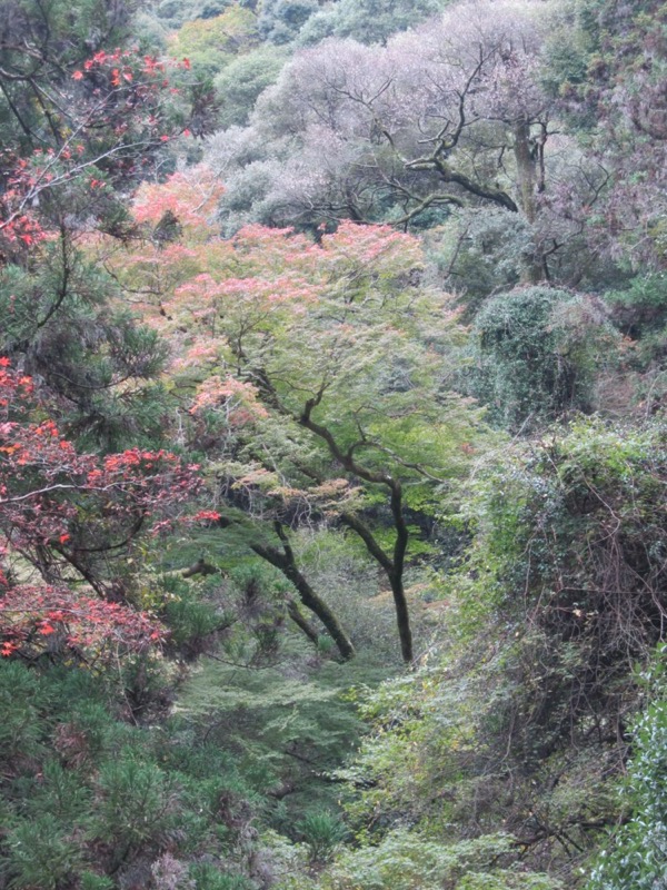 箕面&嵐山