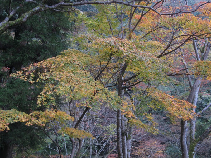 箕面&嵐山