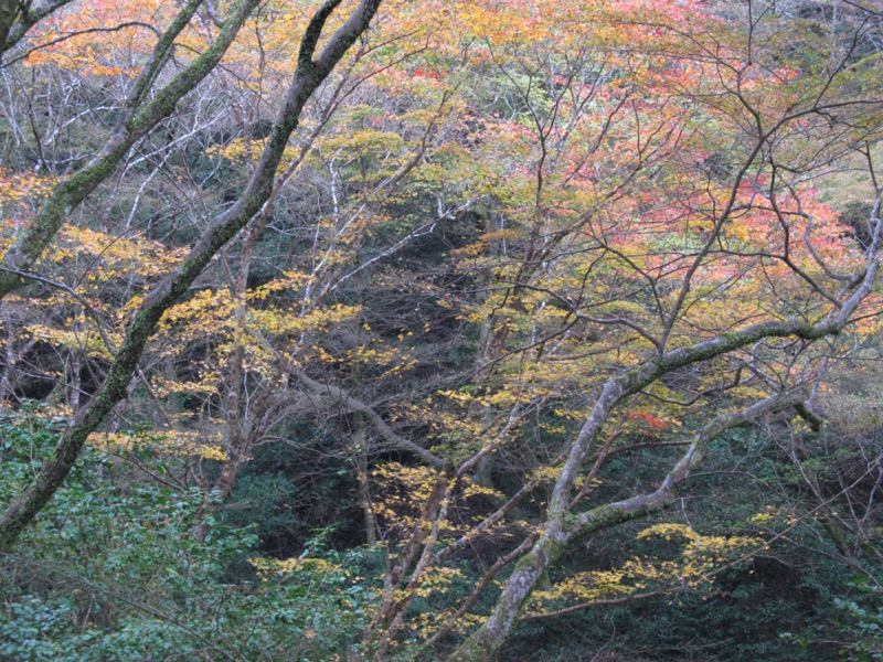 箕面&嵐山