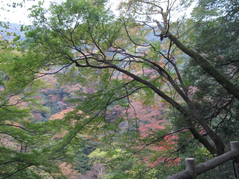 箕面&嵐山