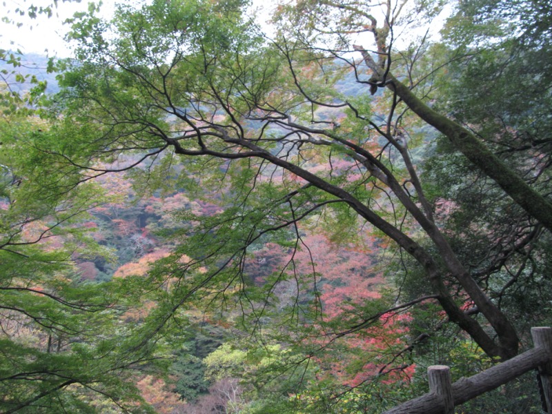 箕面＆嵐山