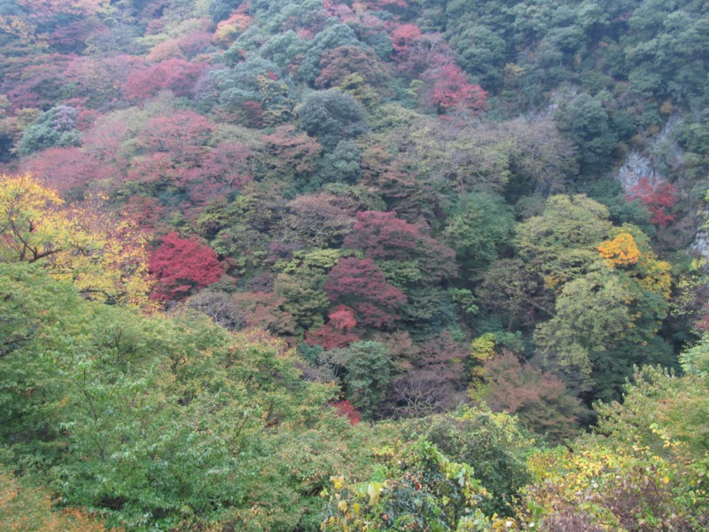 箕面&嵐山
