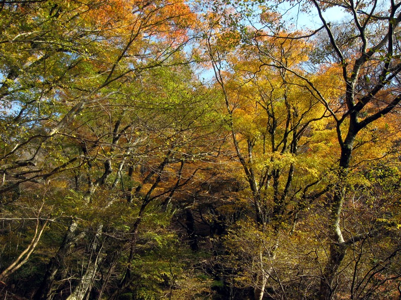 天城峠